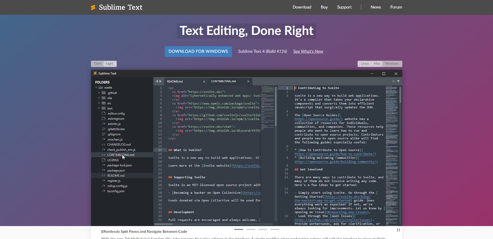 sublime text landing page