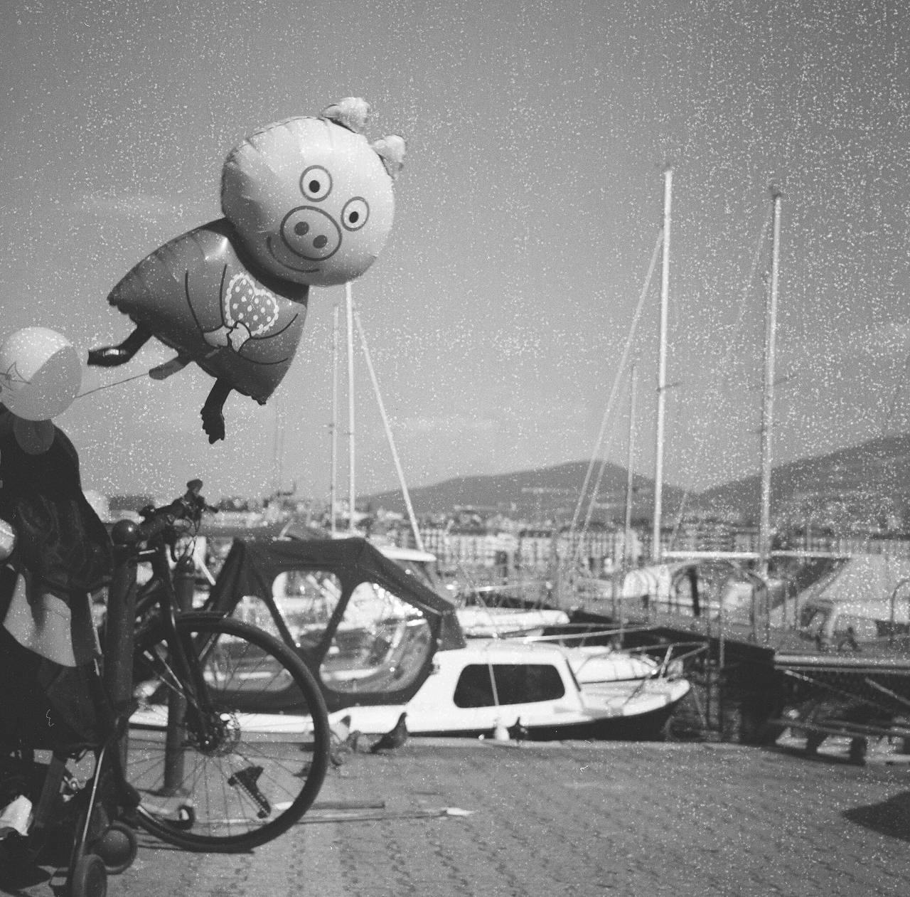 Flying pig luft balloon Switzerland shipyard.