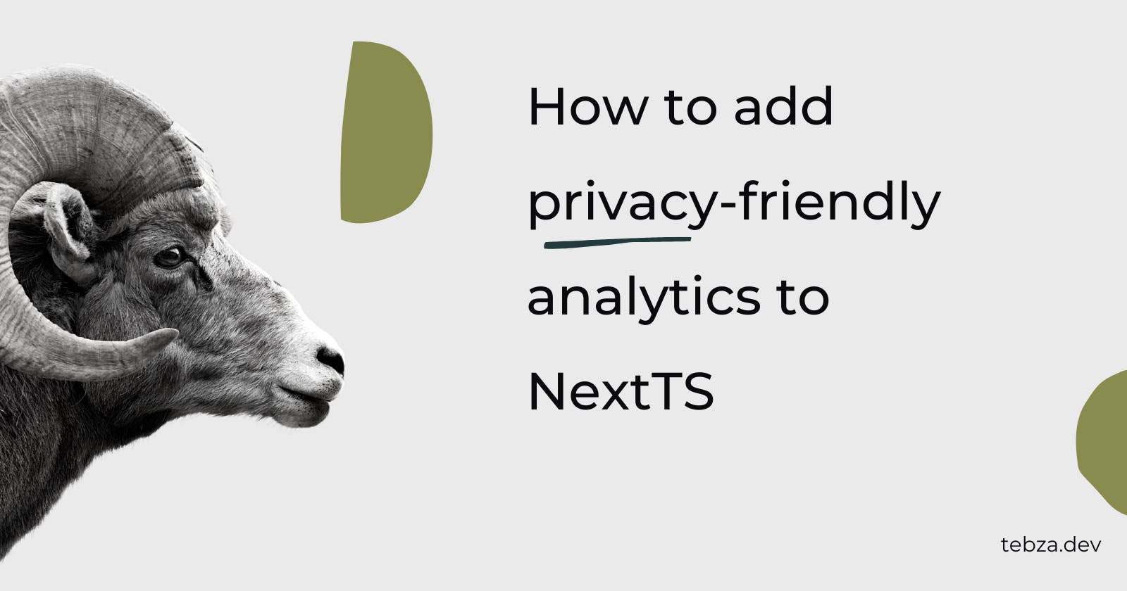 How to add privacy-friendly analytics to NextTS