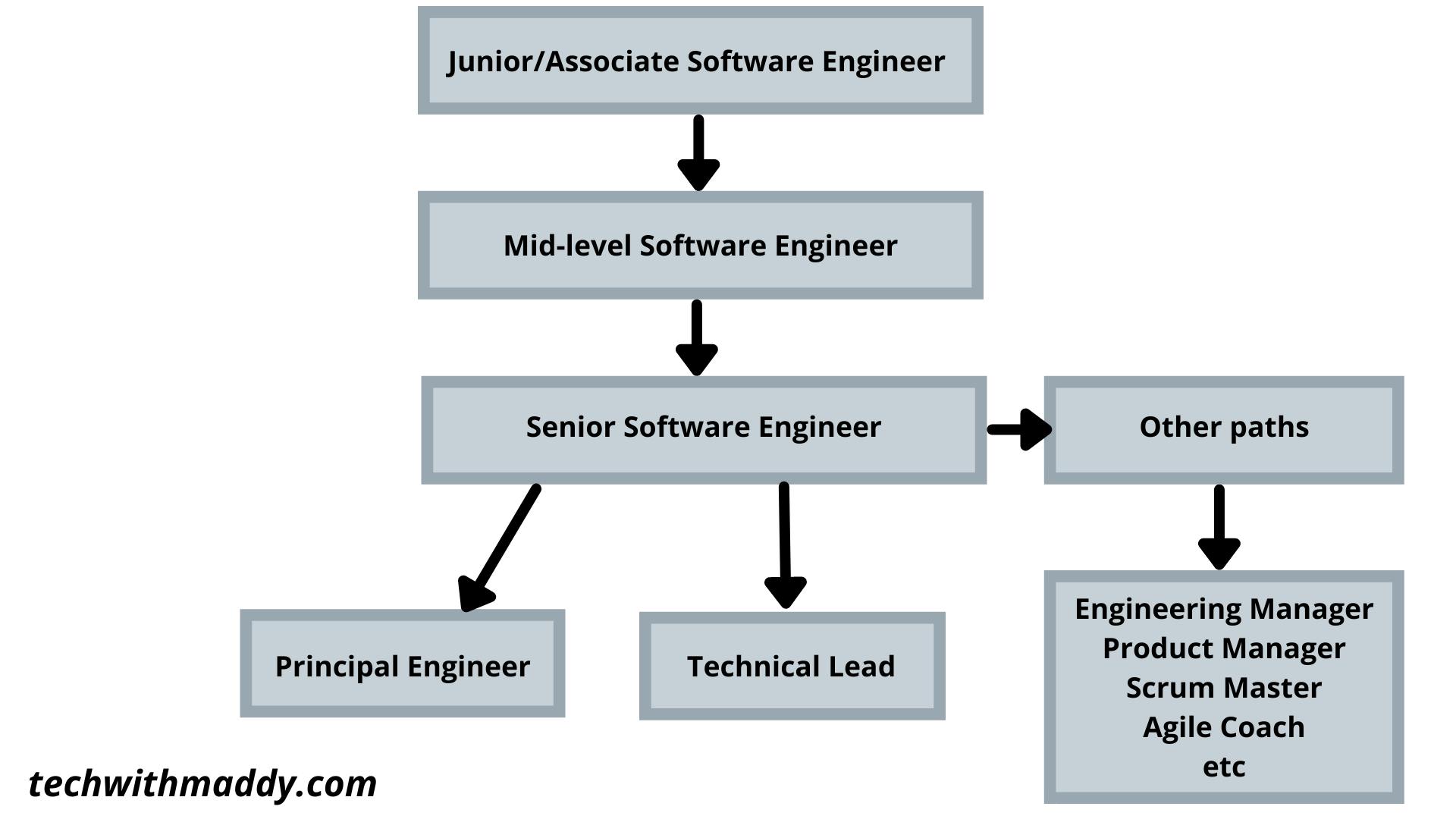 The Career Path Of A Software Engineer