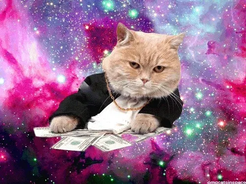 cat wearing a suit and a gold chain, laying on dollar bills, over a universe back end
