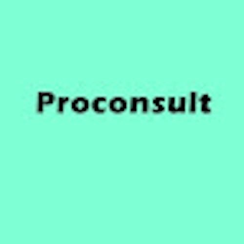 Proconsult Com's photo