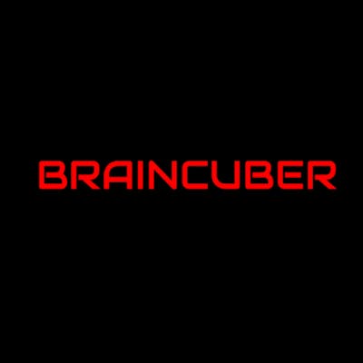 Braincuber Technologies