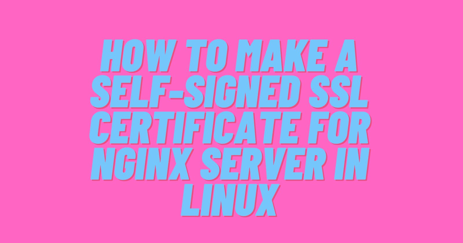 How To Make a Self-Signed SSL Certificate for Nginx Server in Linux