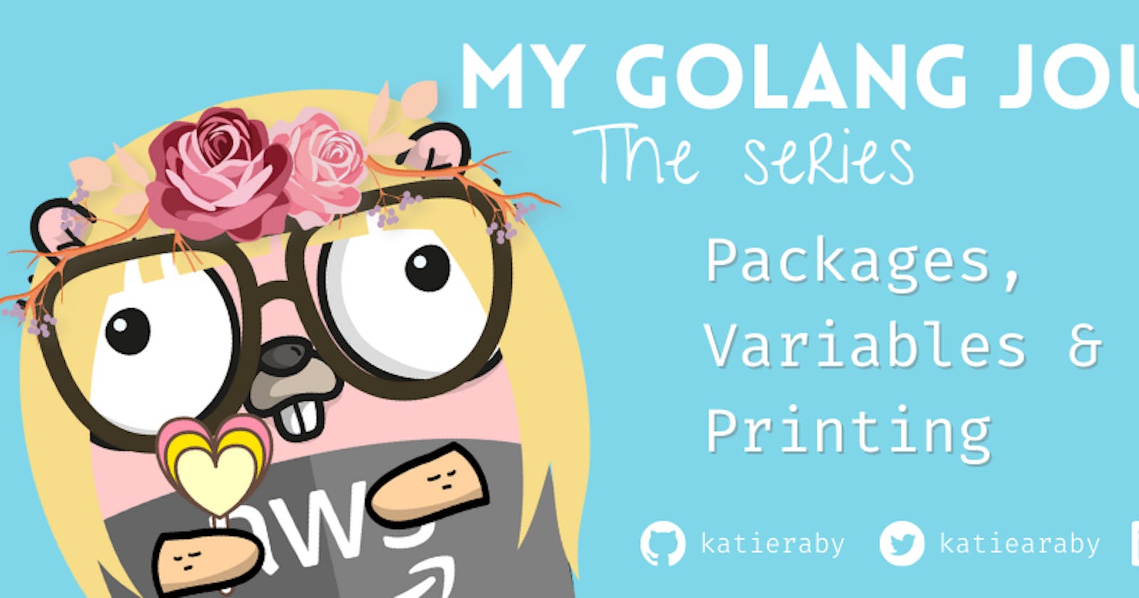 Go - Packages, Variables & Printing