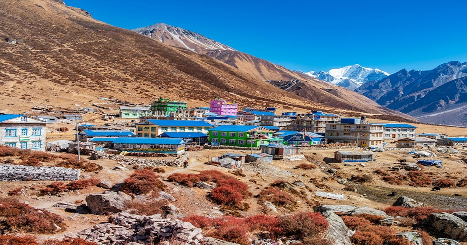 Trekking to Langtang valley Nepal