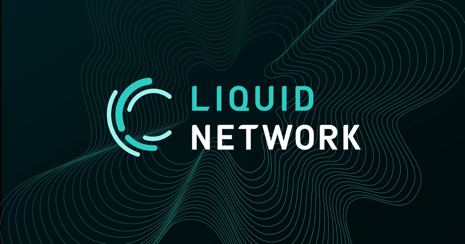 A Beginner's Guide To The Liquid Network