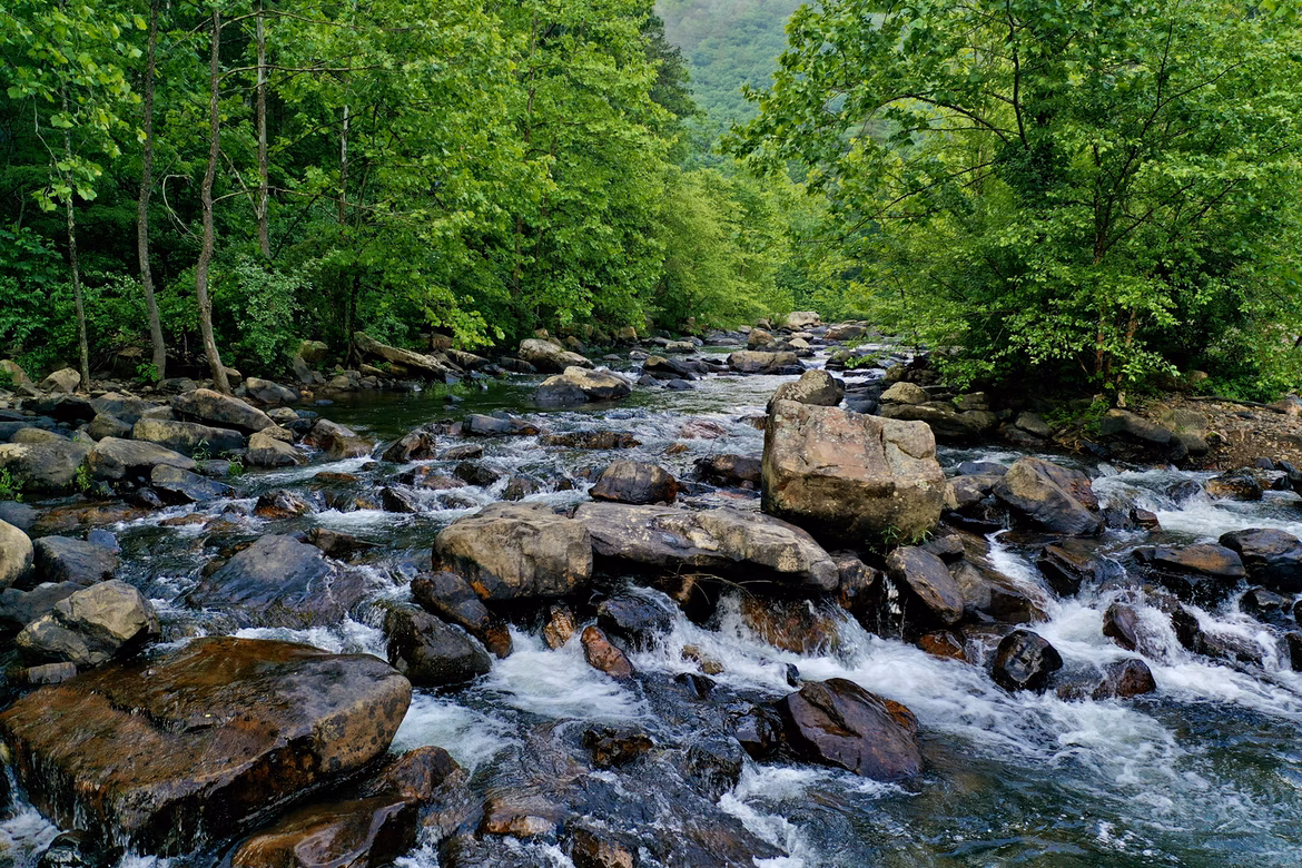 Redis Streams