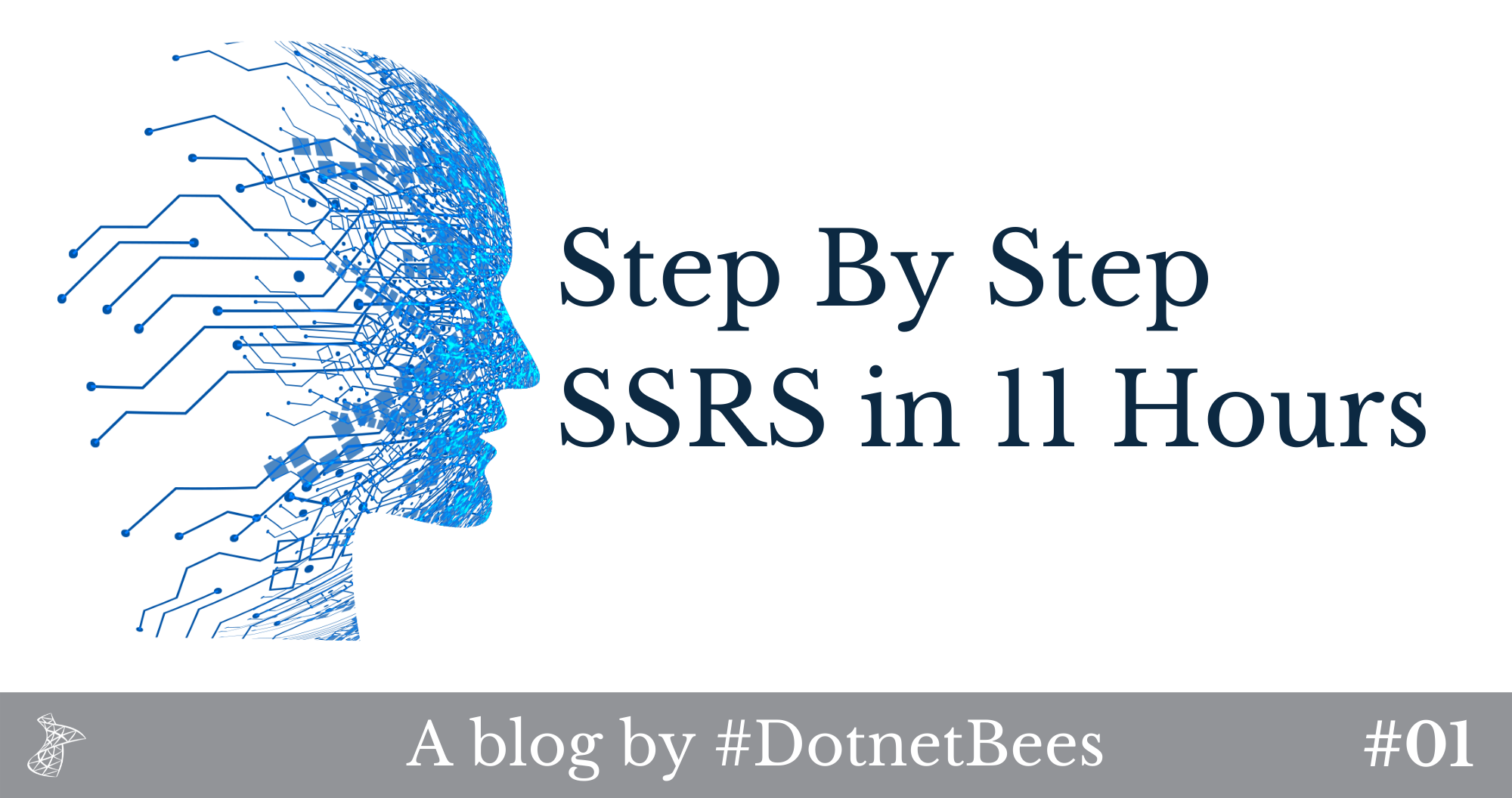 Step By Step SSRS in 11 Hours: Hour 1