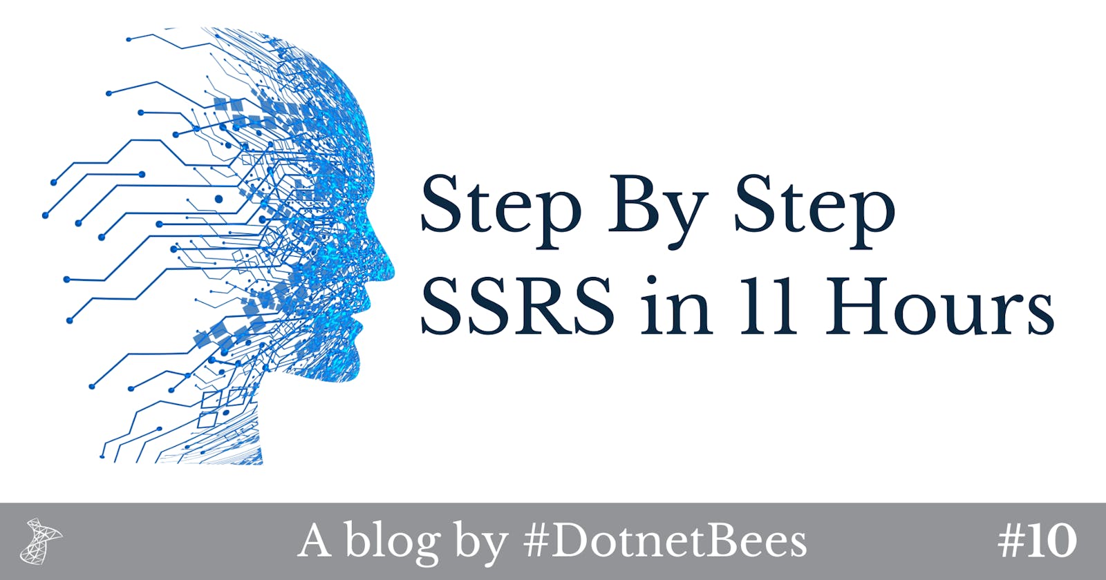 Step By Step SSRS in 11 Hours : Hour 10 (Report deployment)