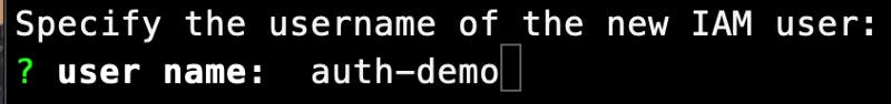 Naming the user auth-demo