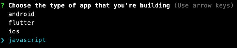 When asked what type of app you’re creating, select javascript