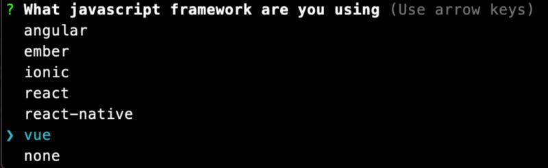 Select vue as our JavaScript framework.
