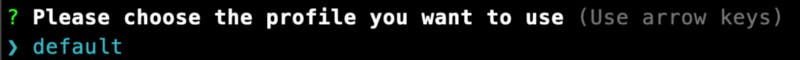 Proceed to select your profile from the list, and press Enter.