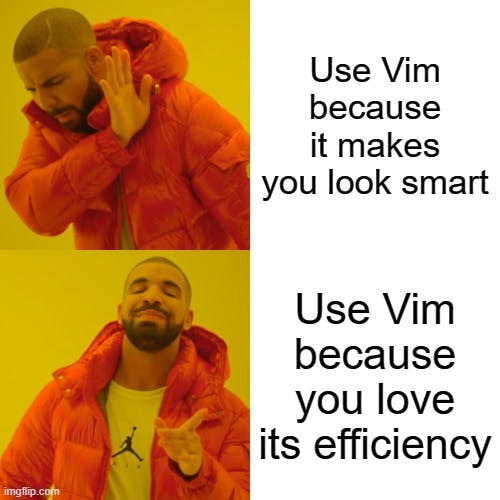 Use Vim because of its efficiency