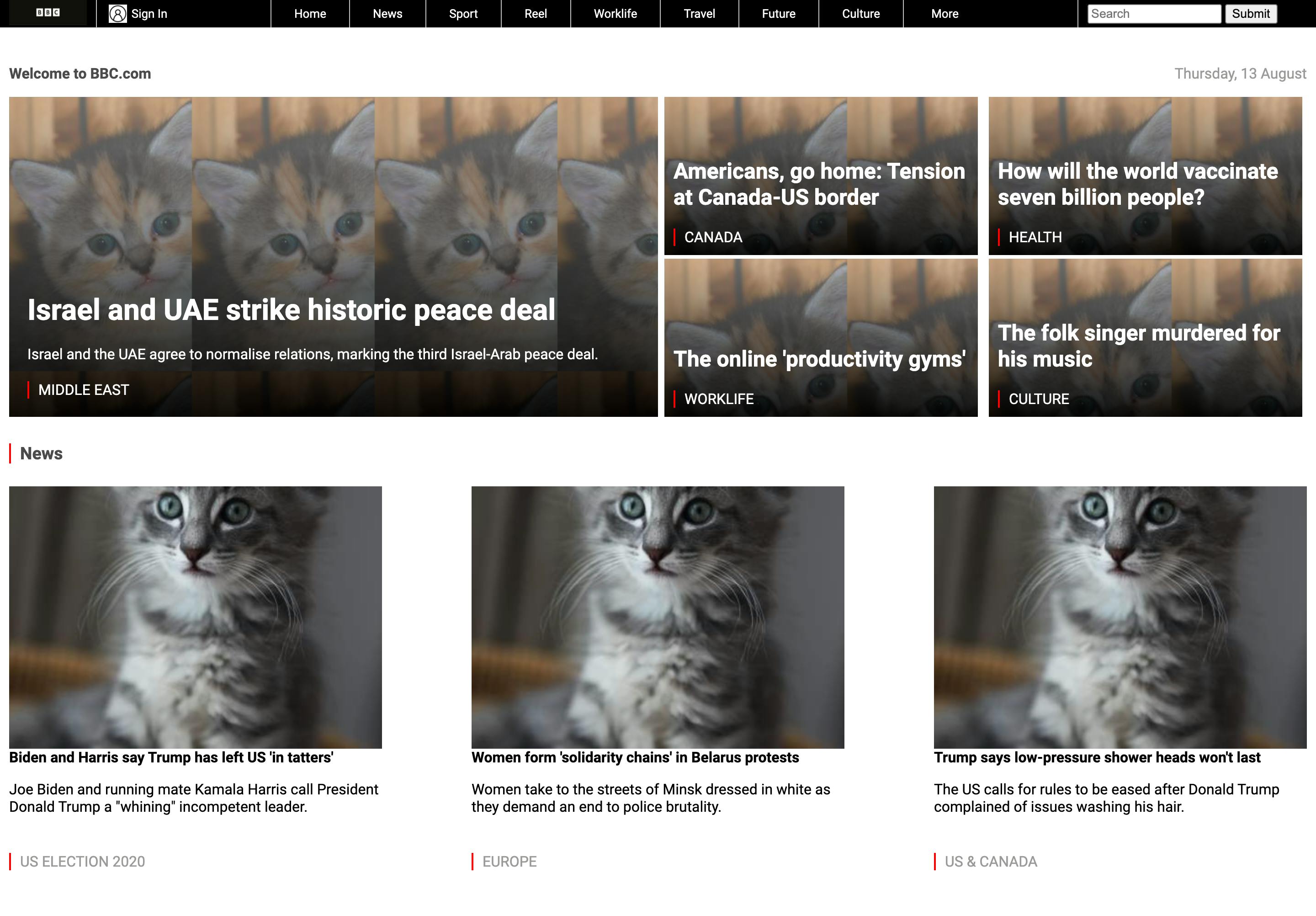 Example of BBC Mock Website