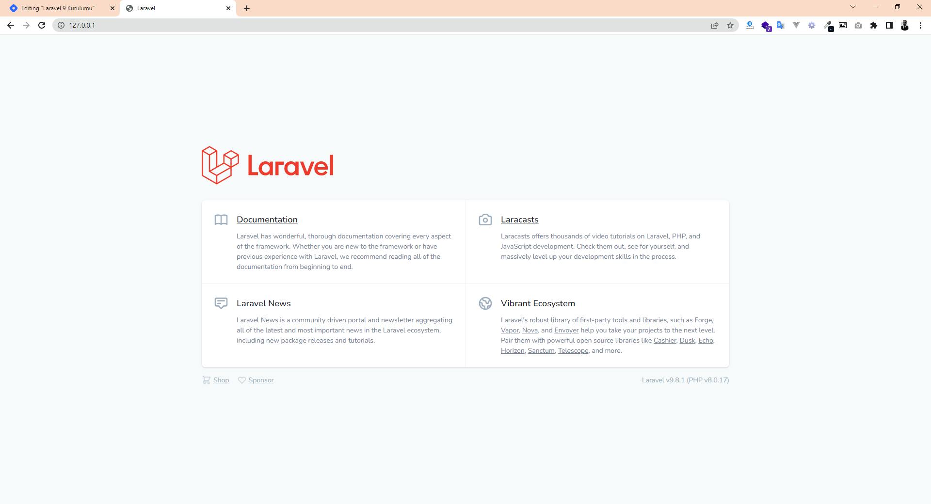 laravel-9.PNG