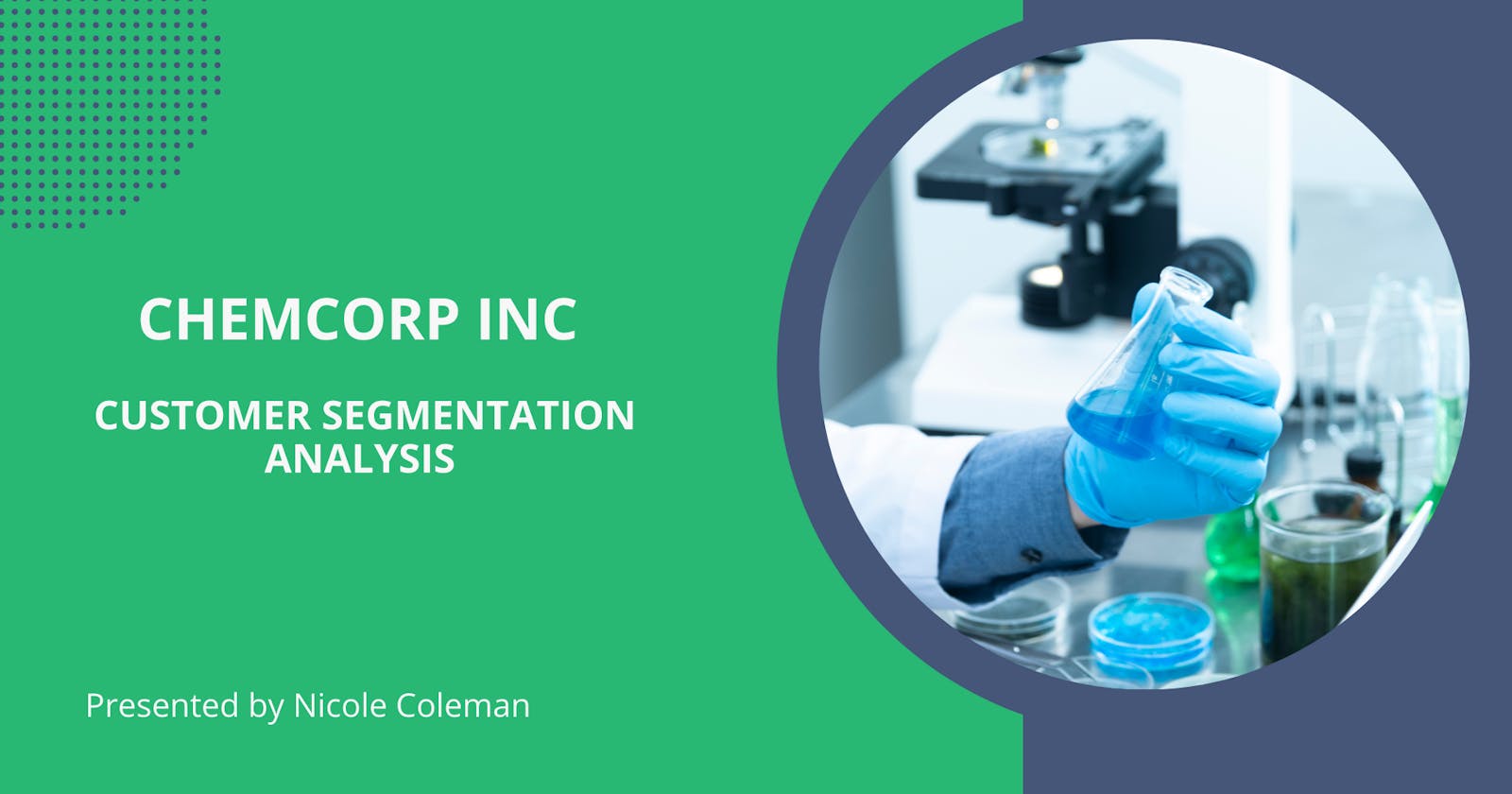 ChemCorp Customer Segmentation Analysis
