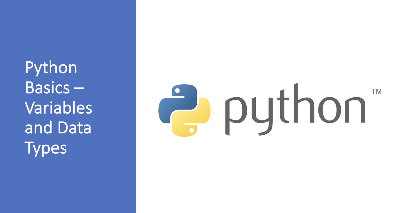Python Basics - Variables and Data Types