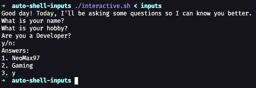 Interactive Shell - Input File.png