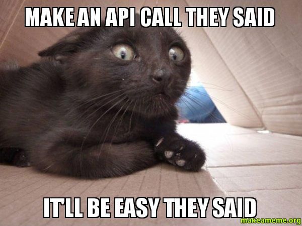 Frightened looking cat captioned make an API call they said it'll be easy they said