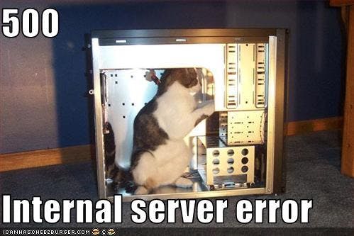 Cat inside a desktop PC playing with the cords captioned 500 Internal Service Error