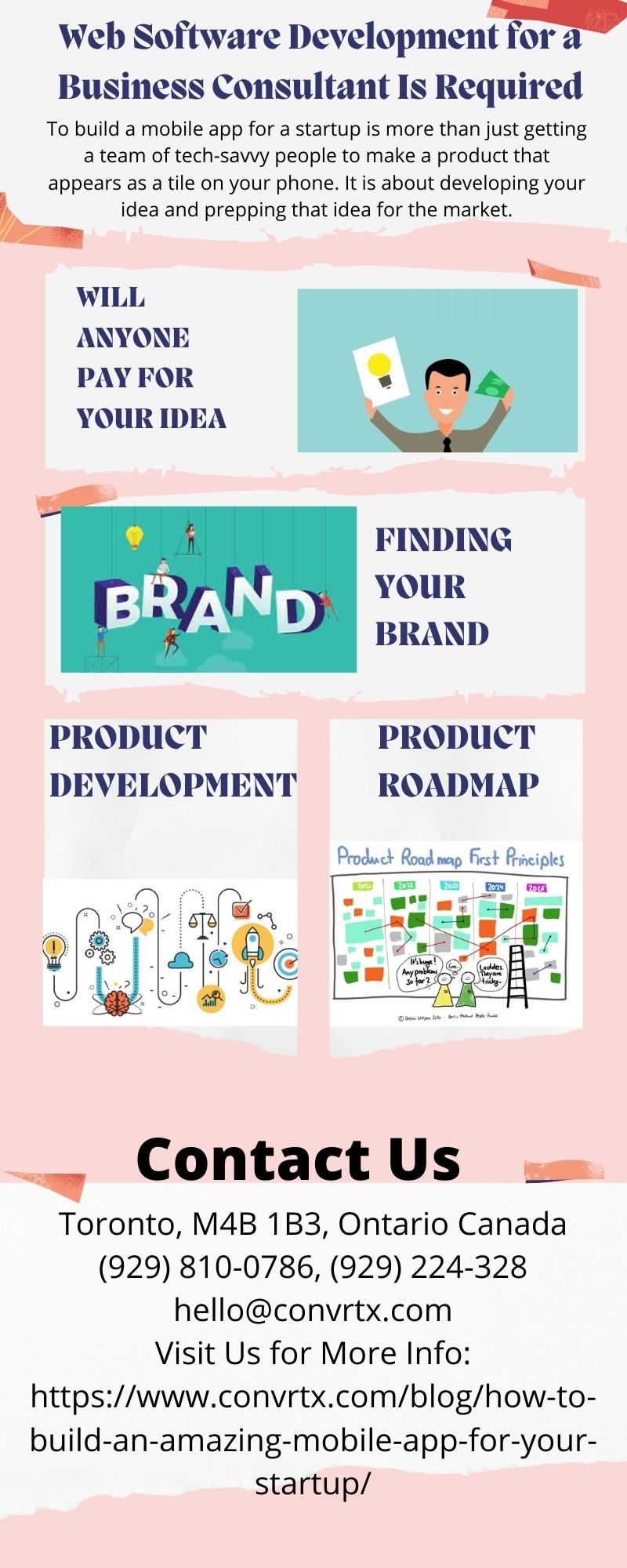 Web Software Development for a Business Consultant Is Required