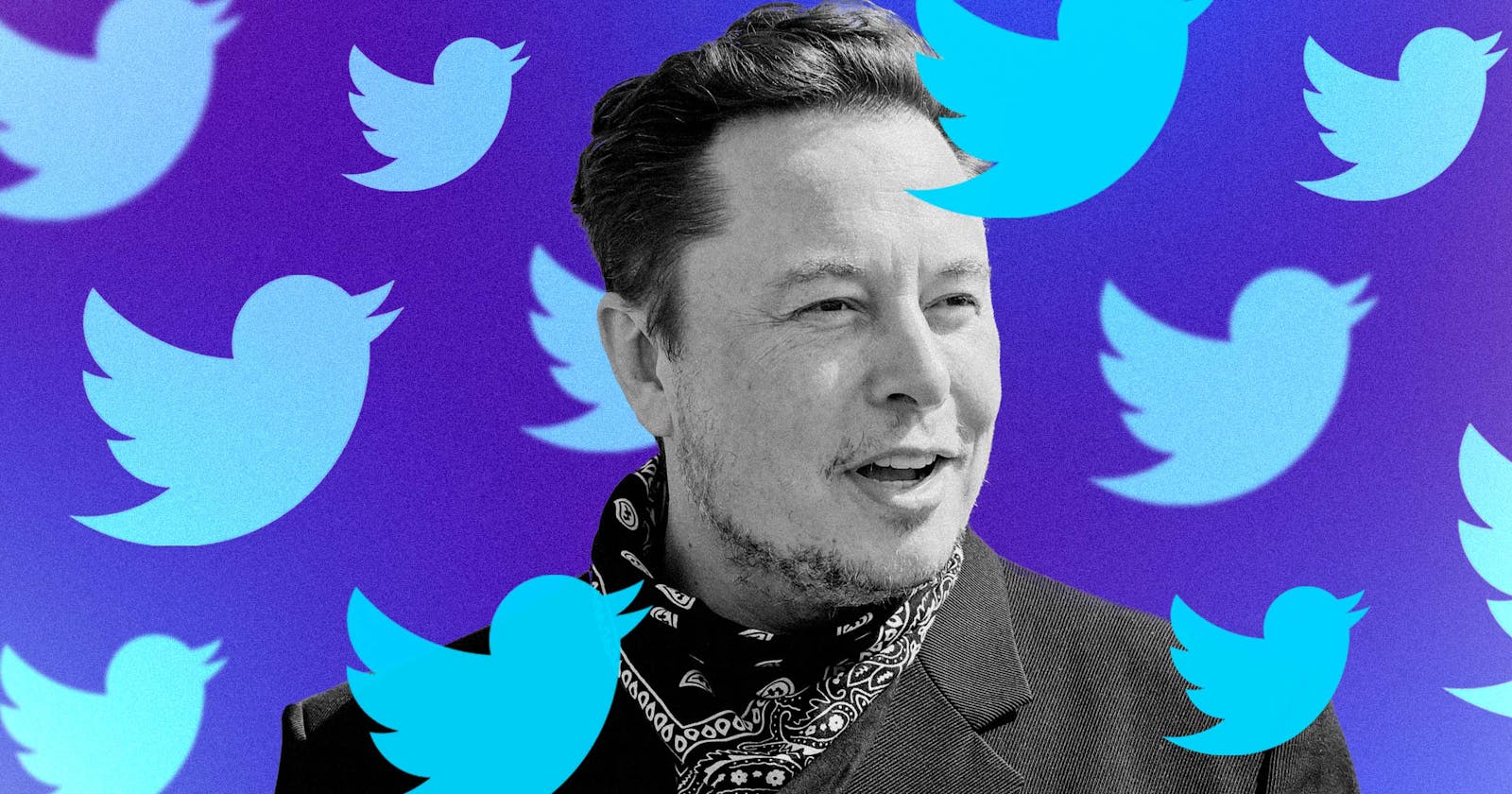 Elon Musk Buys Twitter, Why? 3 Reasons Why Elon Wants Twitter