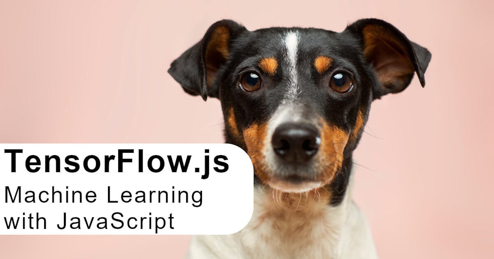 Machine Learning with TensorFlow.js (Yes, JavaScript) | Image Classification and Object Detection