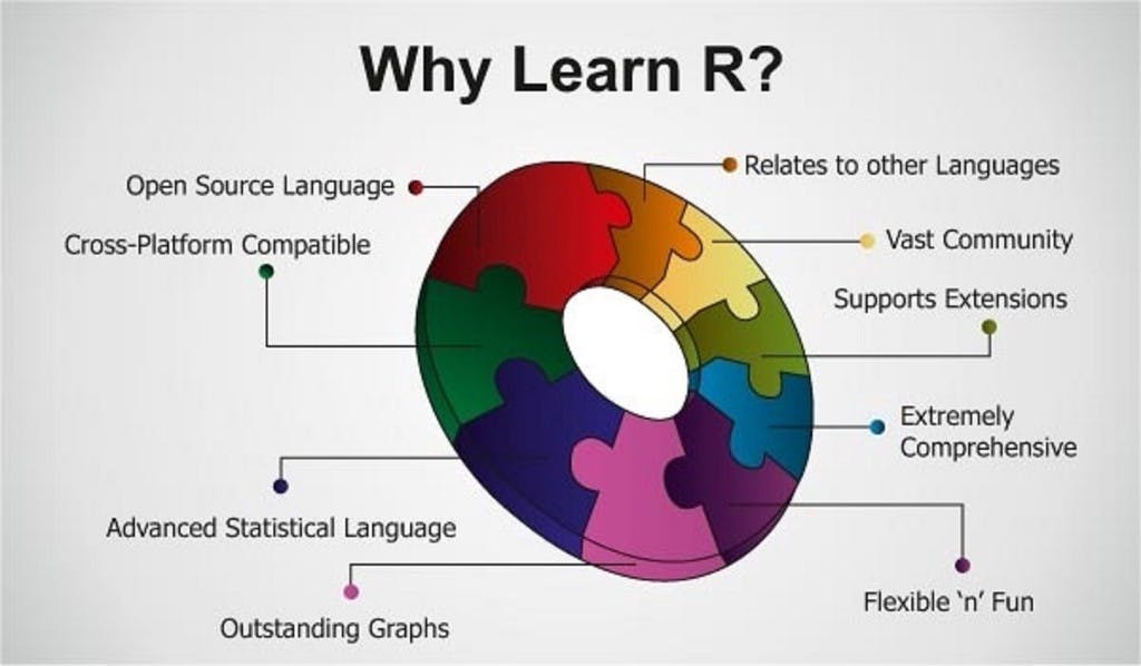 r programming homework help.jpeg