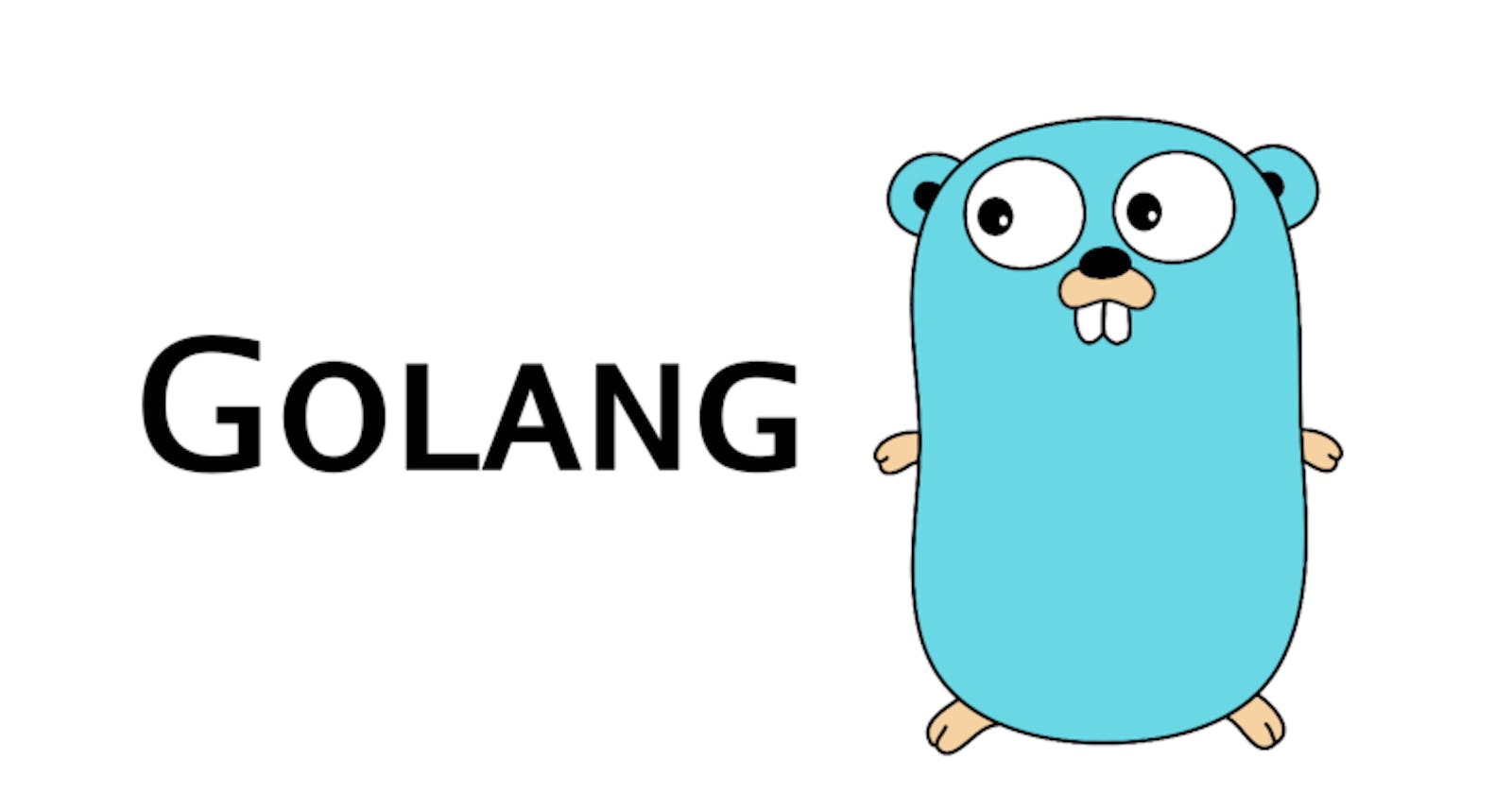 #01 Introduction to Golang