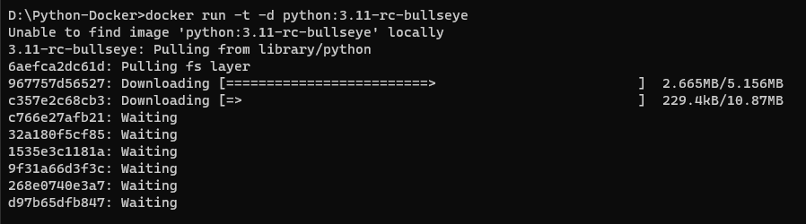 Python-Docker 2022-05-01 071943.png