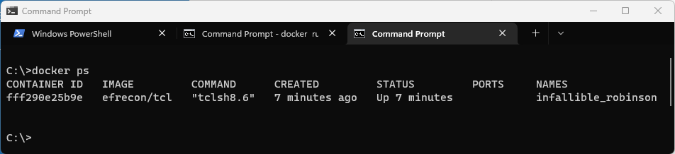 Tcl process running in Docker 2022-05-03 220934.png