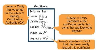 certificateexample.jpg