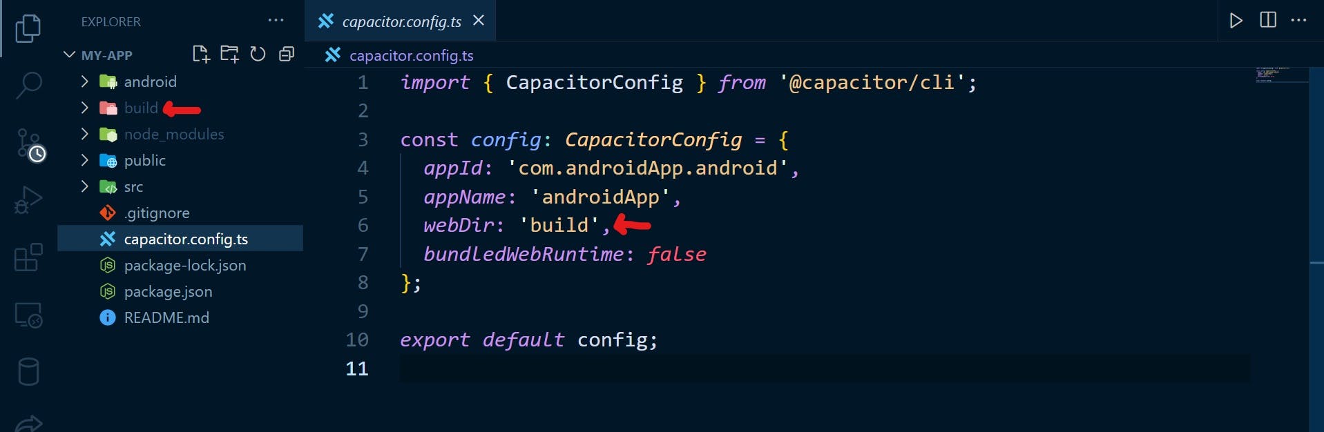 capacitor.config.ts file