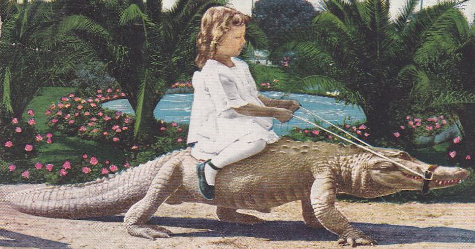 为什么我们的童书和故事里没有鳄鱼和蟒蛇？