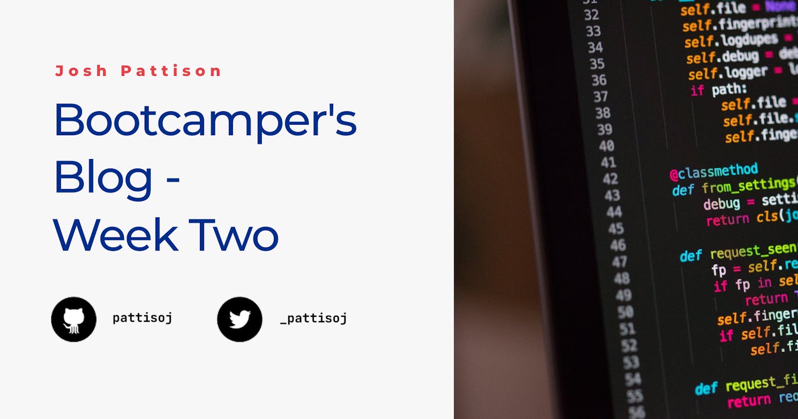 Bootcamper's Blog - Week 2