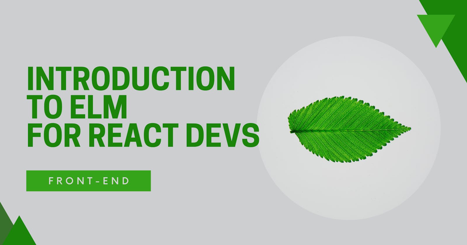 Introduction to Elm programming language for React developers