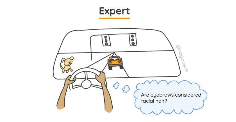 The same point-of-view of a person driving a car, but from an expert driver's perspective. They see the same things through the windshield as the beginner, but there's only one thought bubble: "Are eyebrows considered facial hair?"