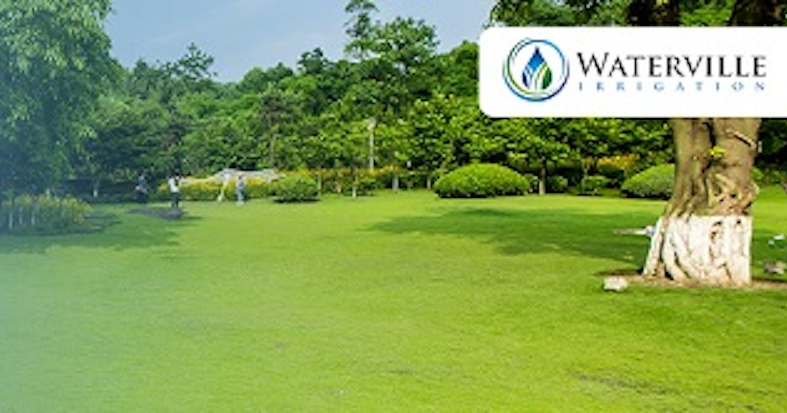 Waterville: Affordable Irrigation and Sprinkler System