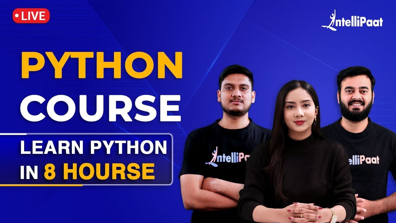What Is Python? the Programming Language, Explained