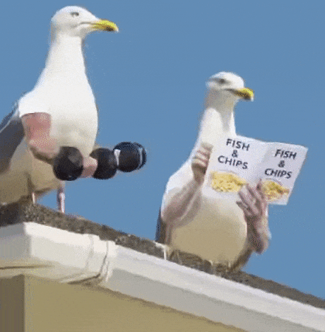 birds-with-arms21.gif