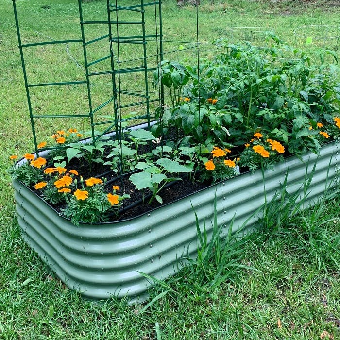best raised garden kit.jpg