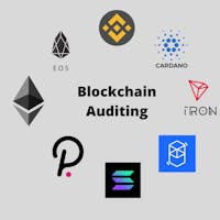 blockchain auditor's photo