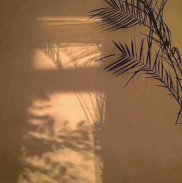 Summer Nanai-Solomon