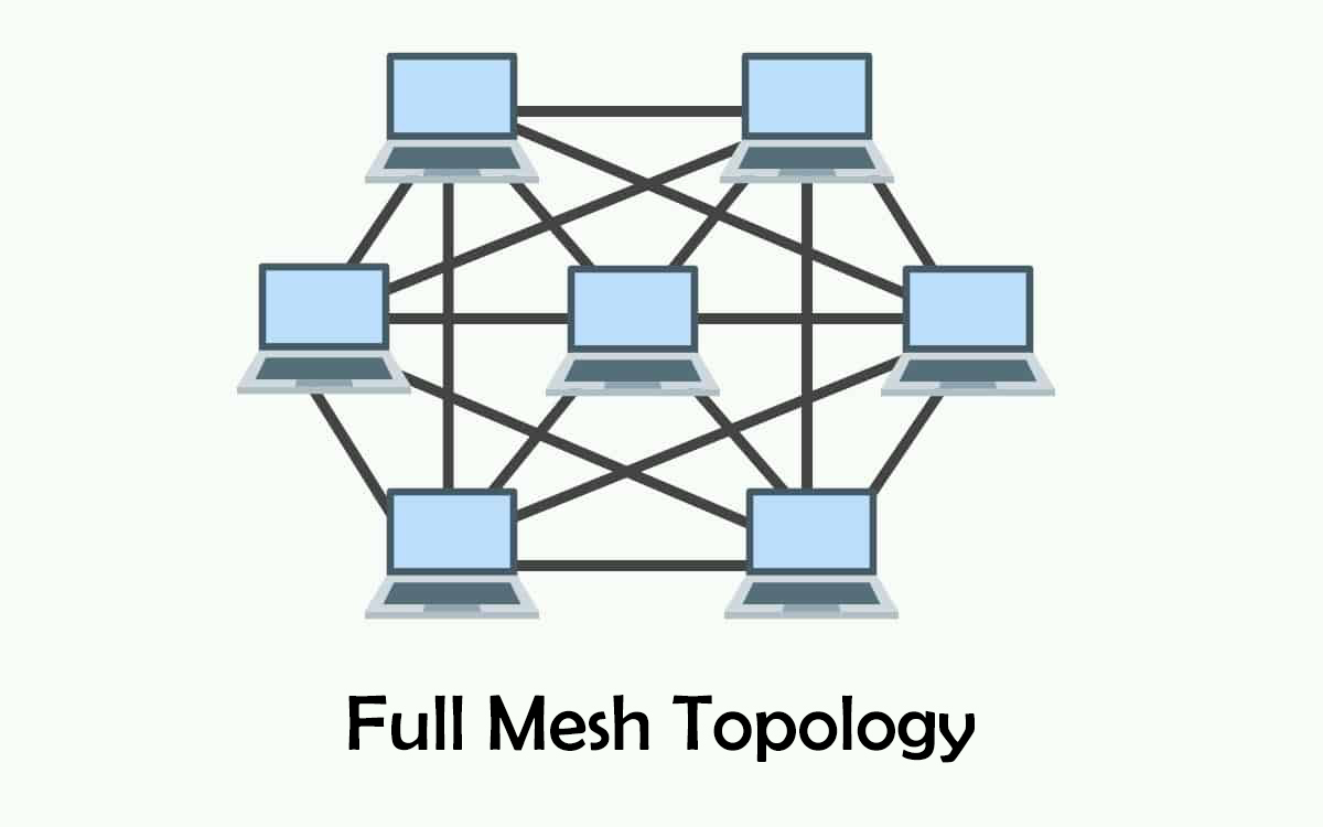 mesh.jpg