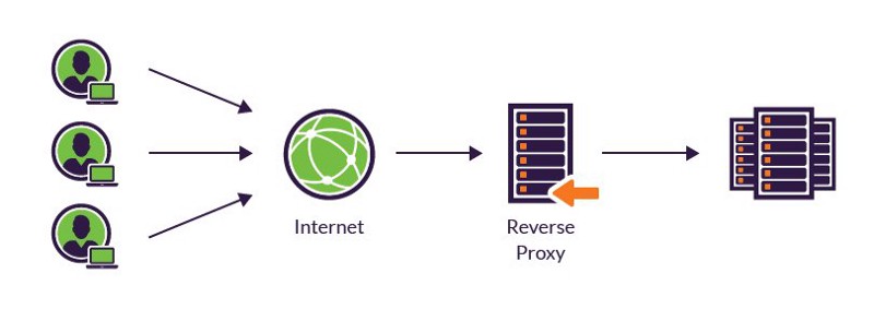 Bypassing NAT: Exposing your entire network over the Internet