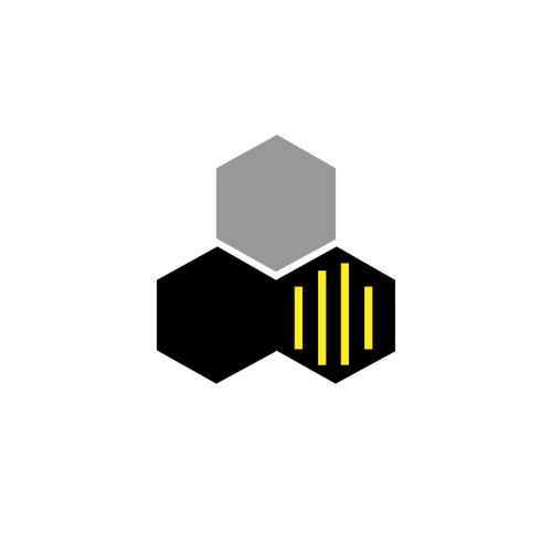 BEE Cyber Solutions