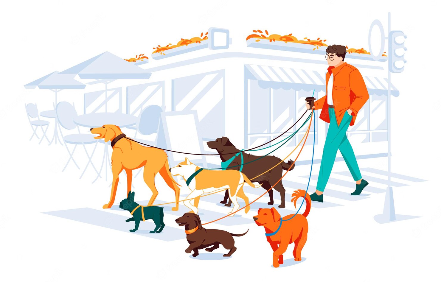 A guy walking with various dogs
