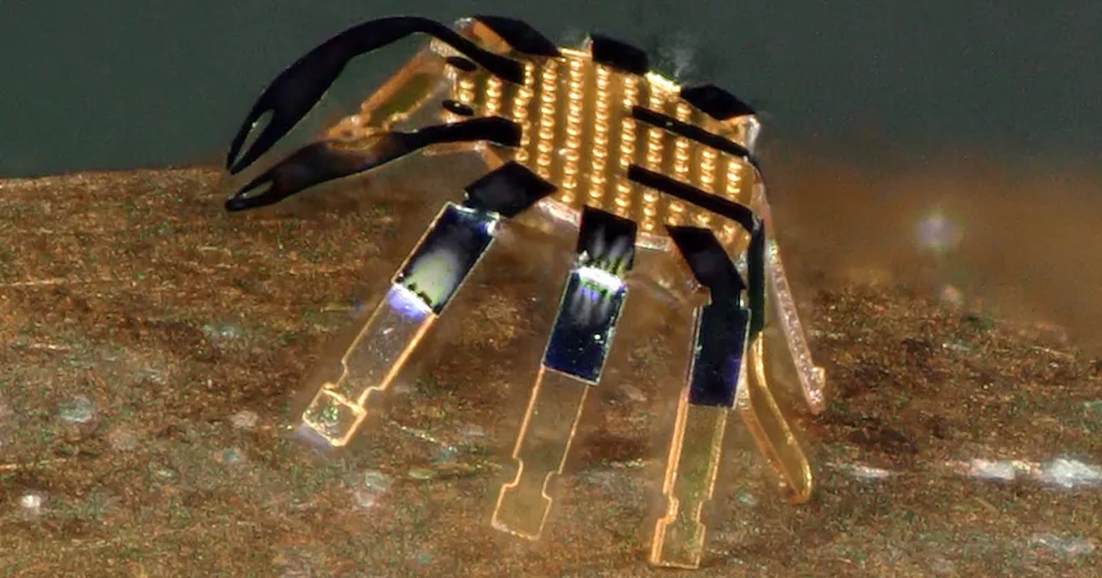 Tiny Robot Crab Army Could Assist With Surgeries One Day